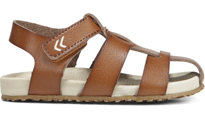 Brown Dr Scholl's Larson Sandal Larson Sandal | sMdFf95C