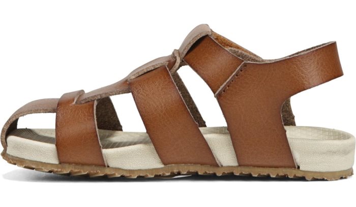 Brown Dr Scholl's Larson Sandal Larson Sandal | sMdFf95C