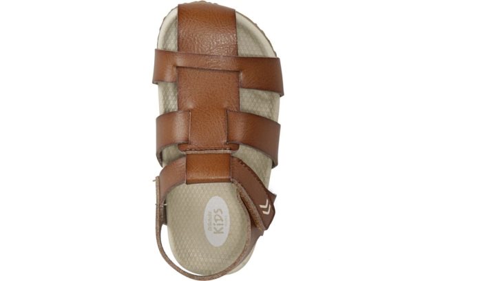 Brown Dr Scholl's Larson Sandal Larson Sandal | sMdFf95C