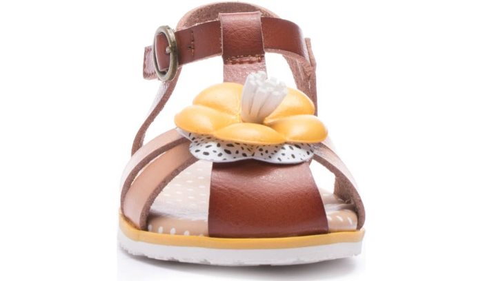 Brown Dr Scholl's Pennelope II Sandal Pennelope II Sandal | sLvn2ESP