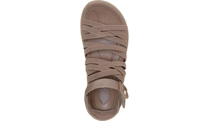 Brown Dr Scholl's Tegua Sandal Tegua Sandal | mDCX2pcN