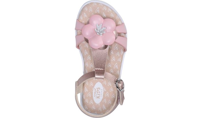 Pink Dr Scholl's Pennelope Sandal Pennelope Sandal | 5XwQ0XeF